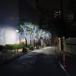 柏　ライトアップ　231110 (1 - 1)